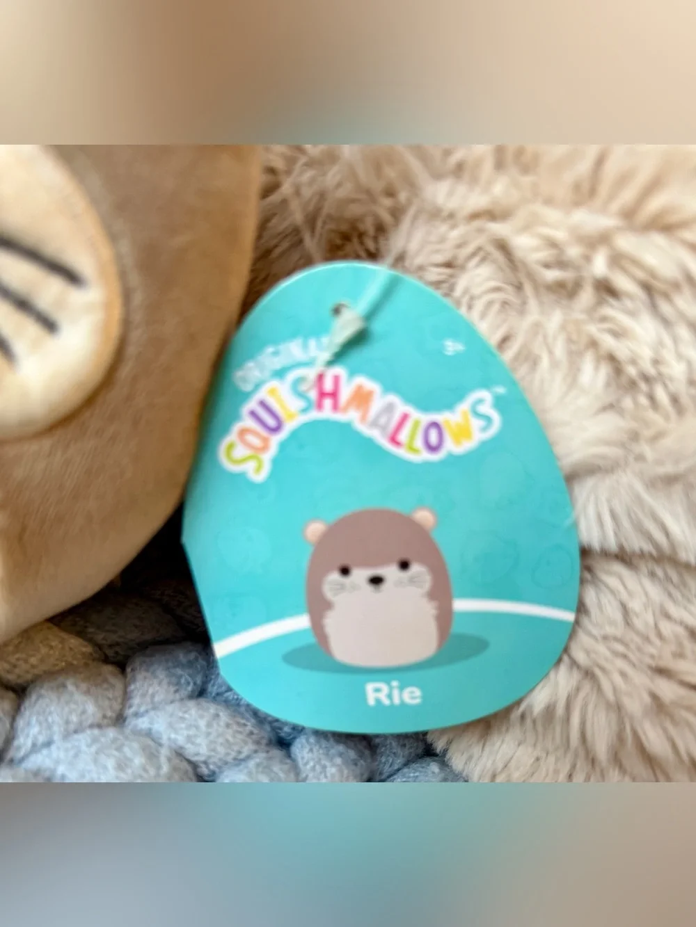 Squishmallows Rie Otter 5” Plush NWT Brown Cream Kellytoy